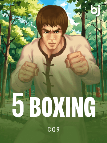 5 Boxing screenshot